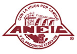 logo-aneic.jpg