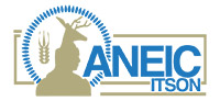 logo-aneicitson.jpg