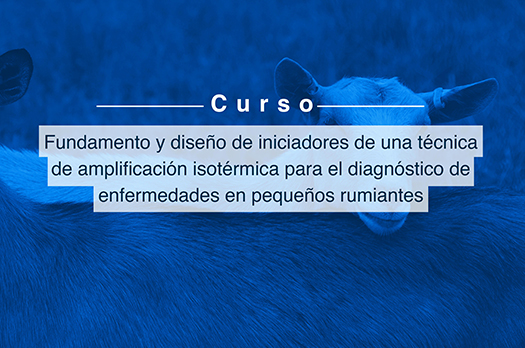 https://www.itson.mx/img_nota/cursoveterinaria2021_web.jpg