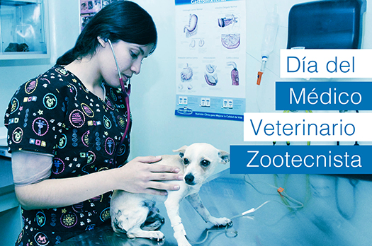 https://www.itson.mx/img_nota/diadelveterinario2021_web.jpg