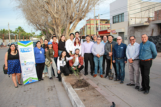 ​Realizan estudiantes ITSON reforestación