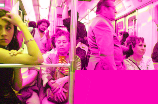 Invitan a Charla Camino Rosa: manifestación del proceso creativo