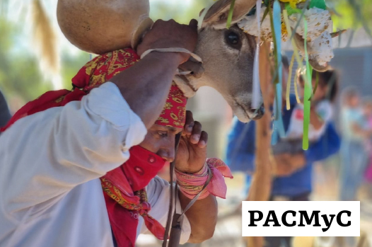 Invitan a la conferencia “Conociendo la convocatoria PACMyC” el 27/03