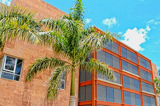Vive tu verano 2023 en Residencias Estudiantiles ITSON