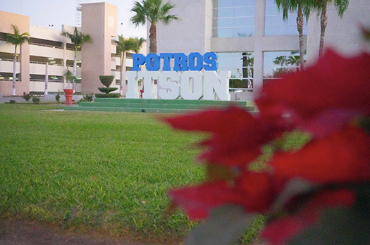 Desea ITSON ¡Feliz Navidad y próspero año 2026!