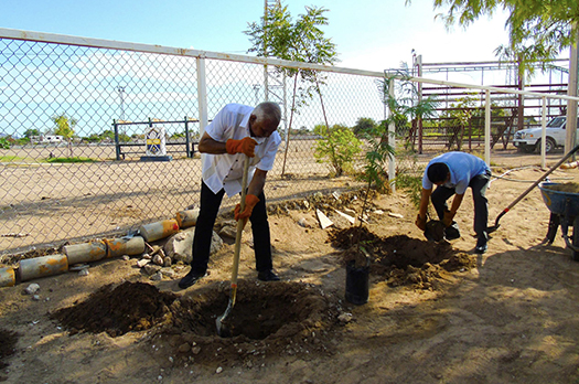 ITSON conmemora su 70 aniversario con campaña de reforestación