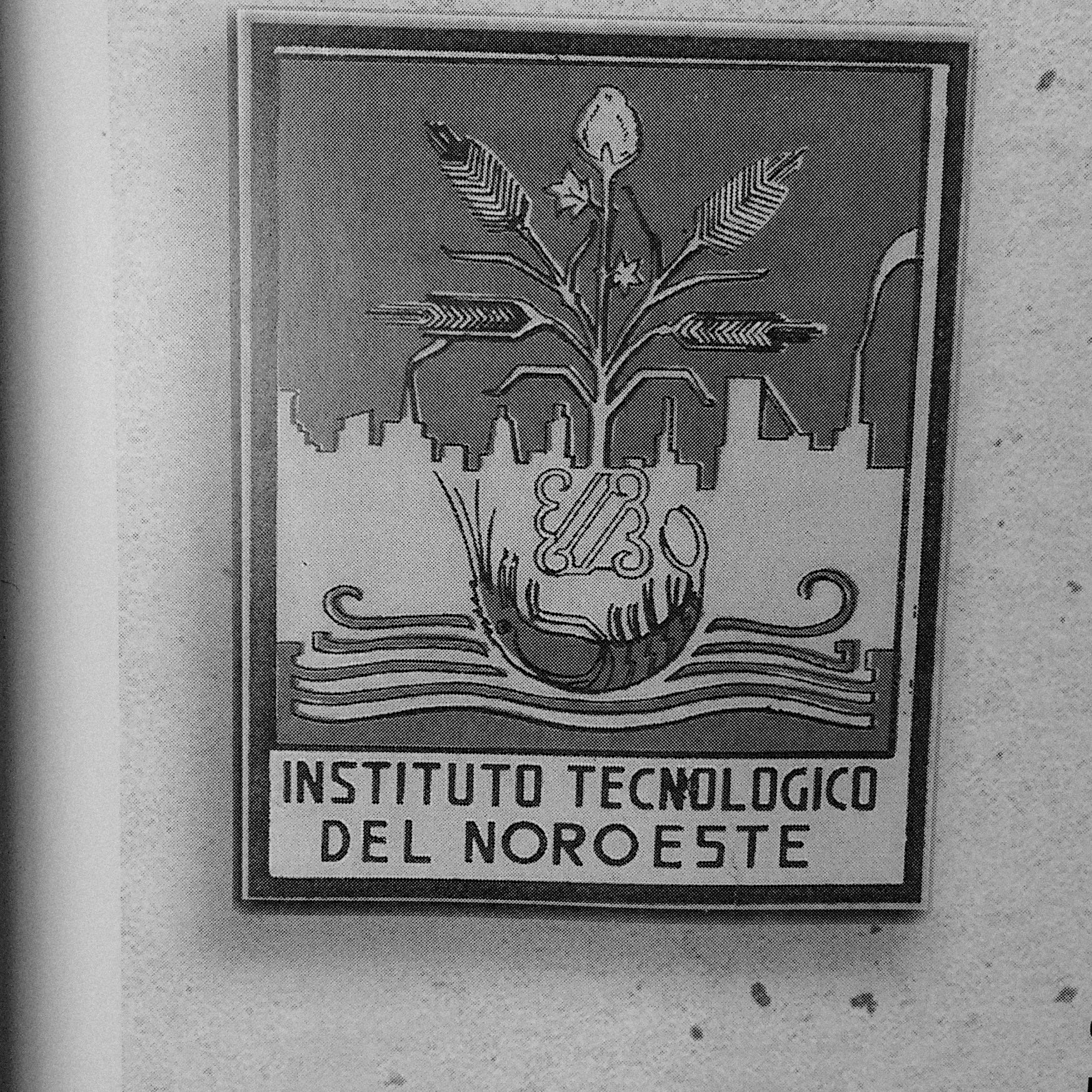 Primer escudo oficial, 1957